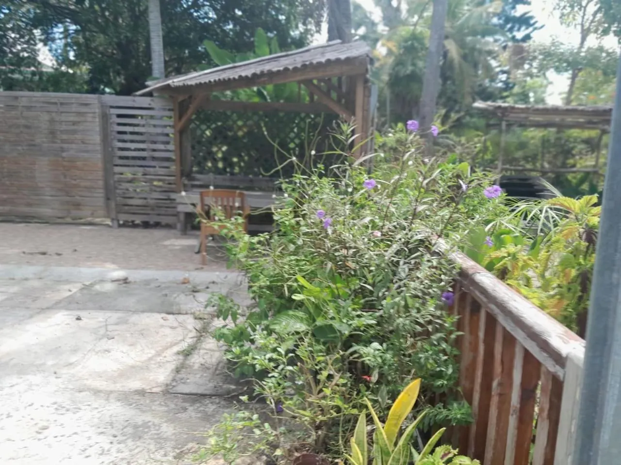 Creole Escapade Rustic House Beach Baie Du Moule Le Moule Hébergement de vacances
